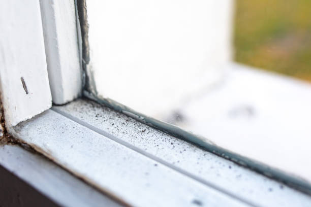 Best Mold Documentation for Insurance Claims  in , SD