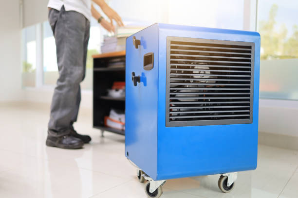 Best Emergency Mold Remediation  in , SD