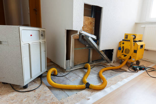 Best Mold Prevention Services  in , SD
