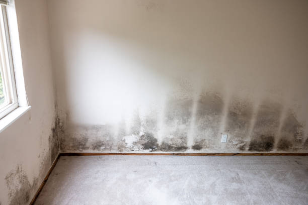Best Indoor Air Quality Assessment  in , SD