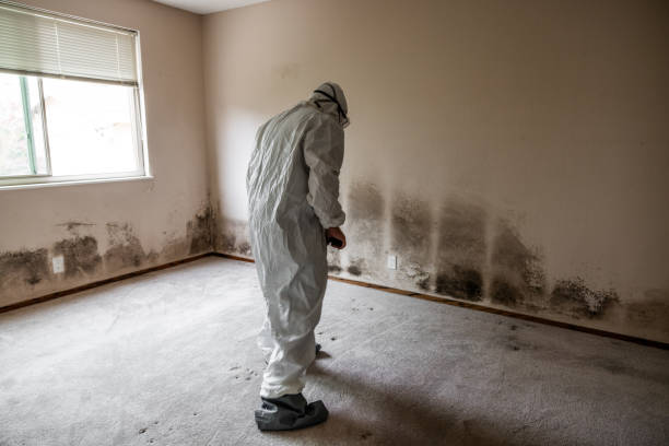 Best Mold Removal for HVAC Installations  in , SD